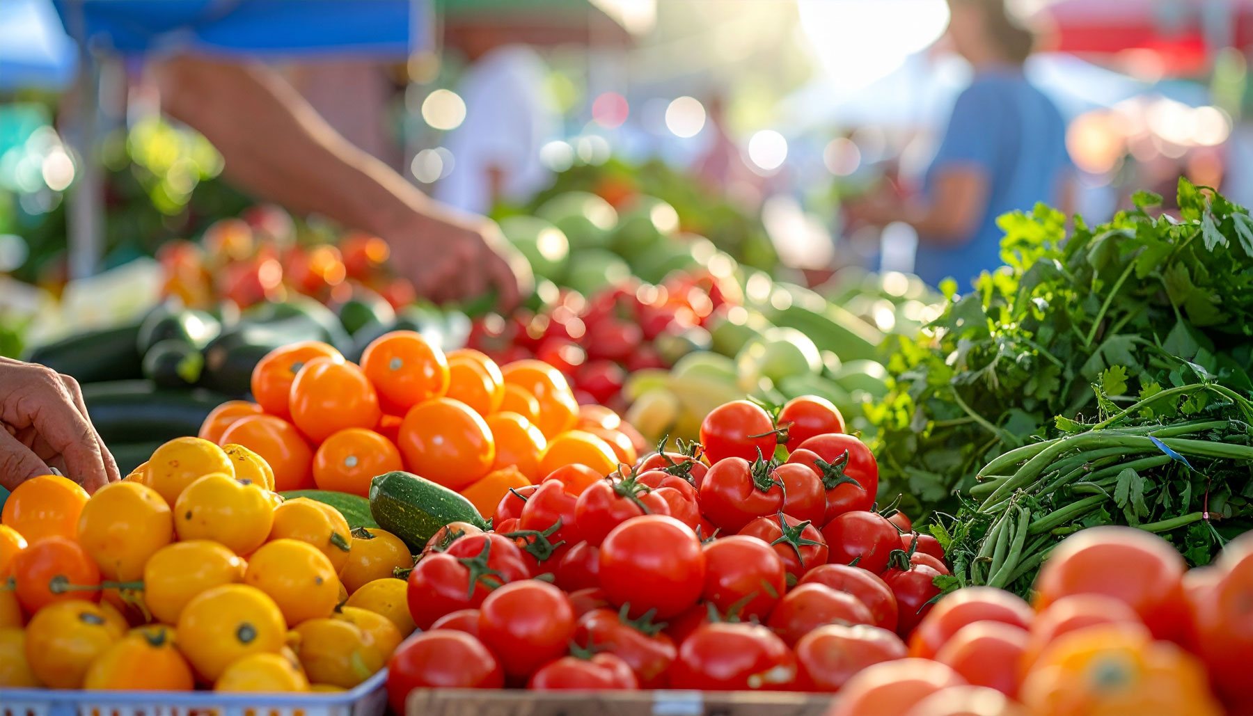 Fresh Vegetables in a Farmers Market in Spring Branch, TX