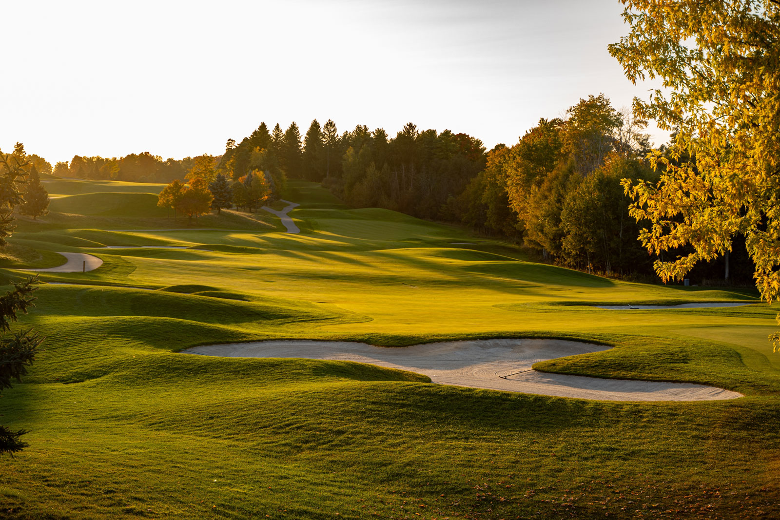 Golf Course in Atascocita, TX