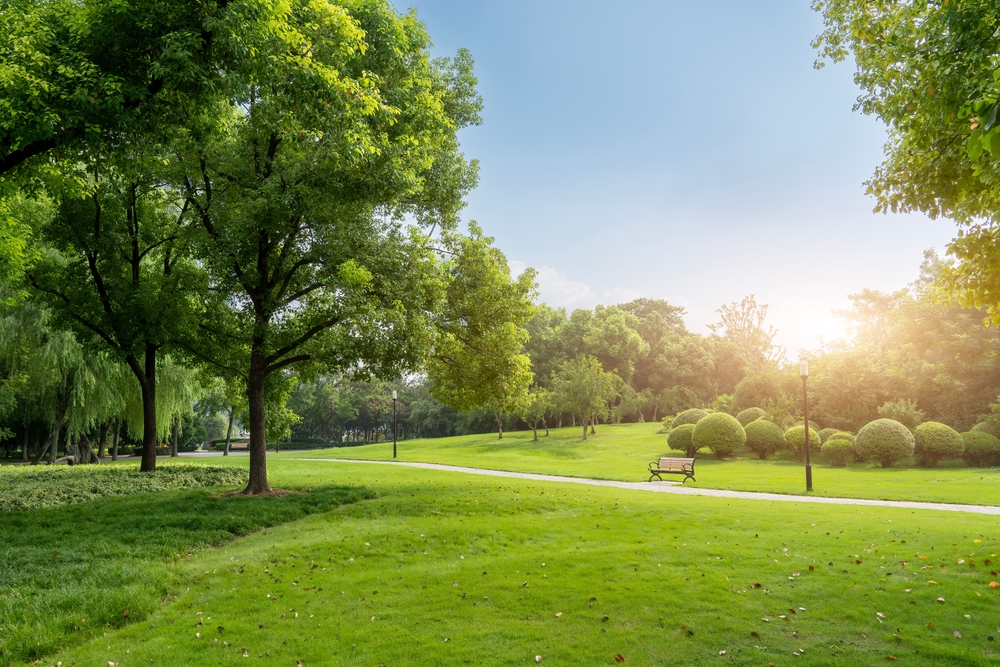 Park in Spring Branch, TX