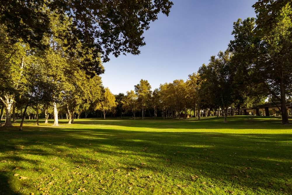 Expert Roofer In Katy, TX