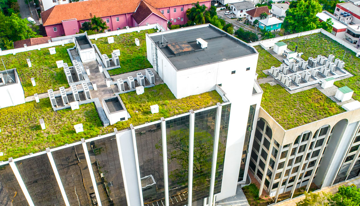 Vegetative Green Roof in Houston