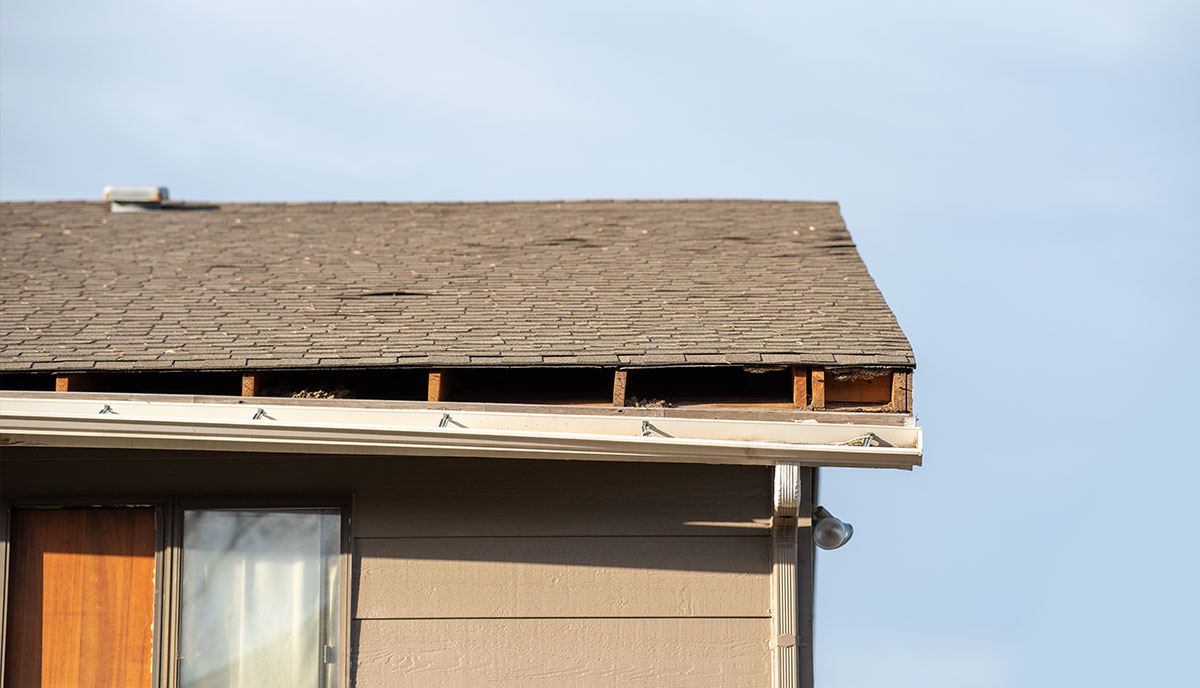 Houston Roof with Sagging Roof