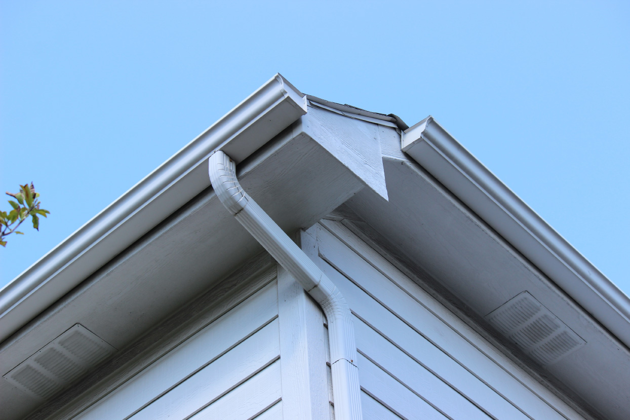 Raydiant Roofing Handyman