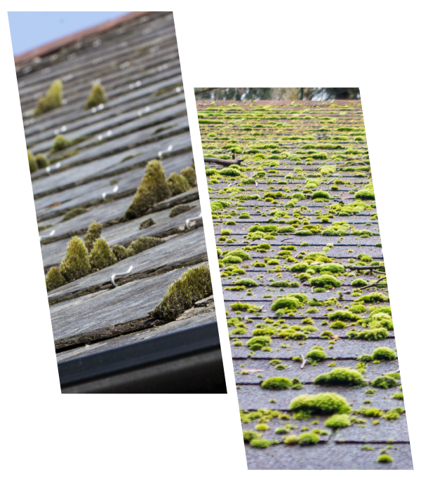 Expert Houston Roofers Fixing Damaged Roof Flashing