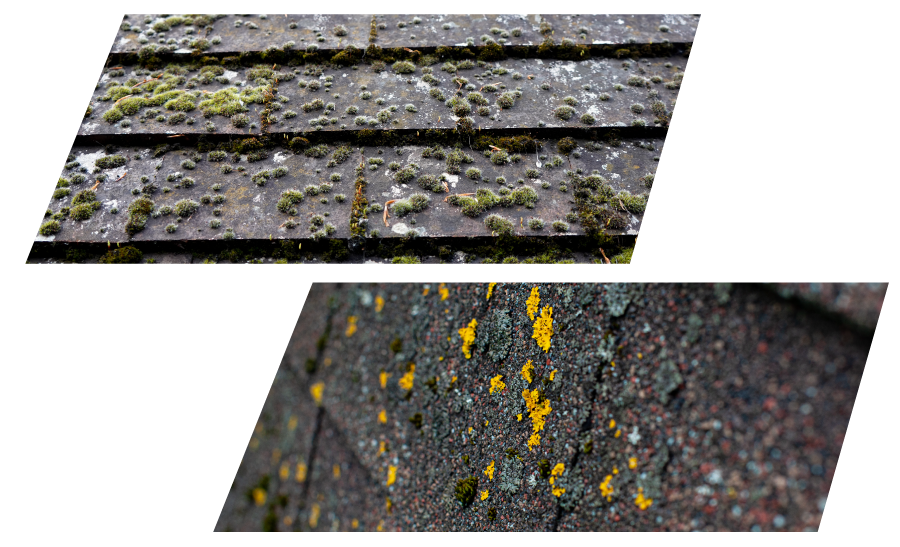 Expert Roofers Fixing Missing Roof Shingles