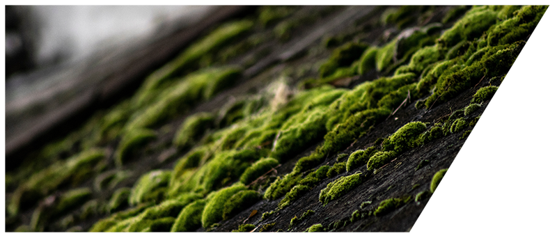 Houston Roof Decking Repair