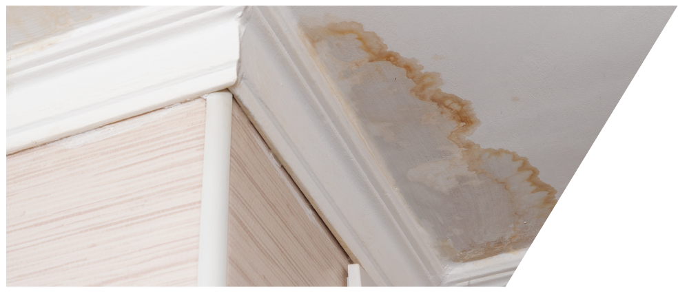 Expert Roofers Replace Missing Roof Shingles