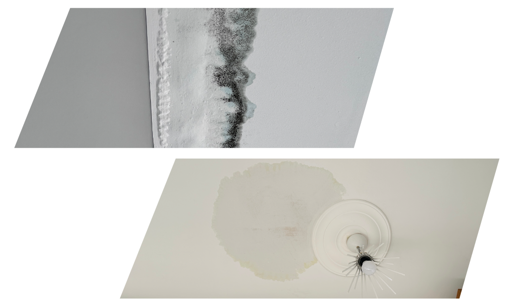 Houston Roof Water Damage