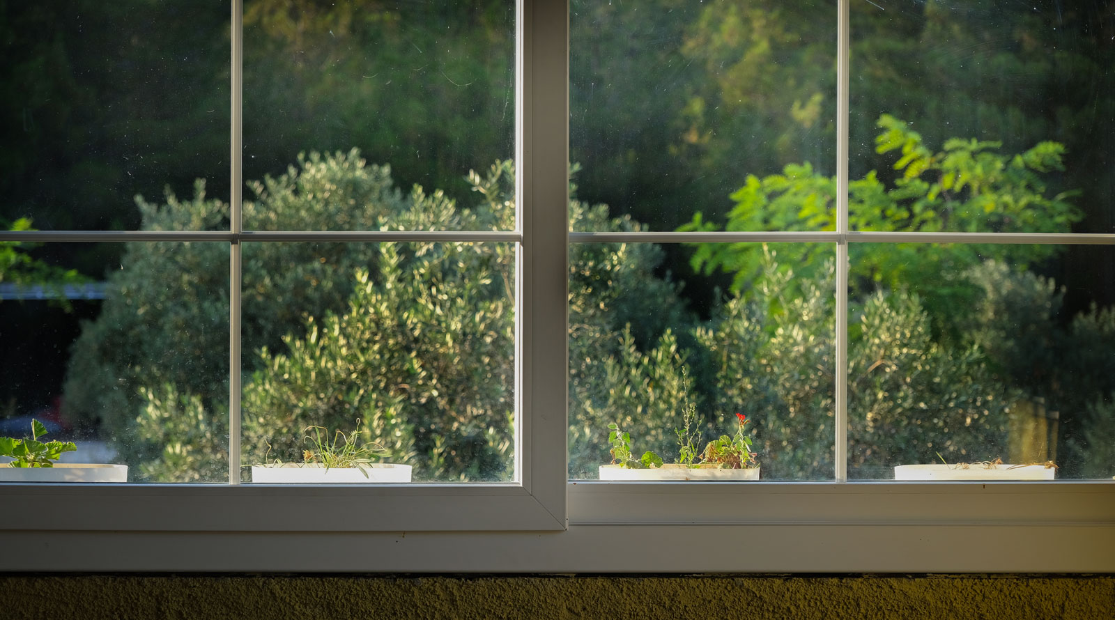 Raydiant Roofing Custom Sliding Window Overlooking Shrubs