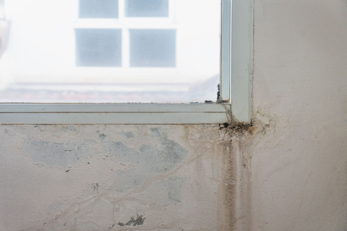 Raydiant Roofing Windows