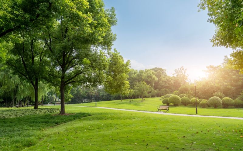 Expert Roofer In River Oaks, TX