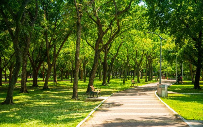 Expert Roofer In Cypress, TX